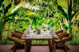 Farmhouse Resort & Spa