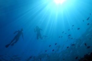 Baglioni Resort Maldives - Snorkelling