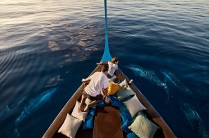 Maldives-Four-Seasons-Kuda-Haraa-Bawa-Tours-Travel-Dolpin-Cruise