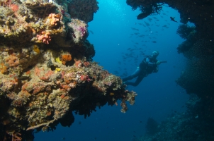 Baros - Diving