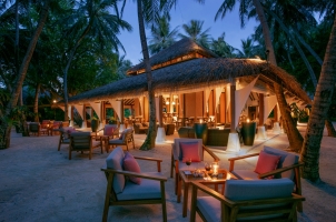 Baros - Palm Garden Twilight