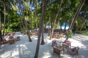 Baros - Palm Garden