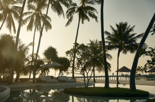 COMO Maalifushi Malediven - Swimming Pool