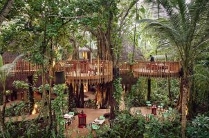 maldives-niyama-bawa-tours-travel-nest-restaurant