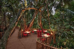 maldives-niyama-bawa-tours-travel-nest-tree-top-dining
