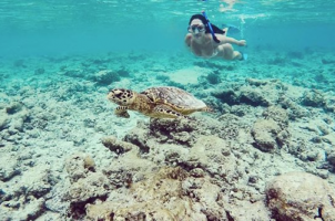 Maledives Soneva Fushi - Snorkelling