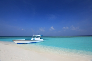 Maledives Soneva Fushi - Snorkelling