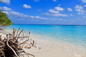 Maledives Soneva Fushi - The Beach