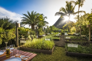 Mauritius The Oberoi Beach Resort - The Herb Trail