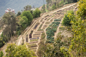 Dwarika's Resort Dhulikhel - eco organic farm