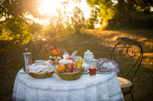 Tiger Mountain Lodge - breakfast time