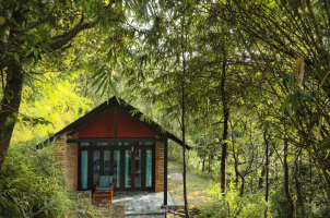 Tiger Mountain Lodge - hideaway room