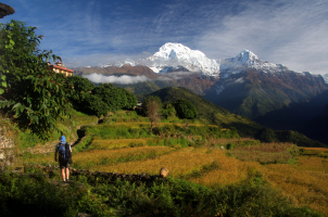 Tiger Mountain Lodge - walking