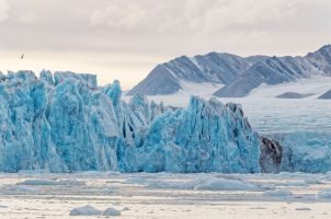 norwegen-como-jorney-into-the-arctic-bawa-tours-travel-may-expdition