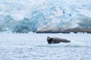 norwegen-como-jorney-into-the-arctic-bawa-tours-travel-seal