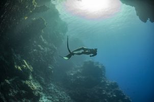 palau-four-seasons-explorer-bawa-tours-travel-snorkeling