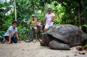 Seychelles North Islands - Interaction