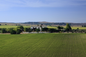 Hacienda De San Rafael - HSR facade with cotton fields
