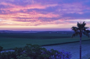Hacienda De San Rafael - Sunset