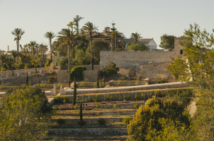 Santa Ponsa - Garden