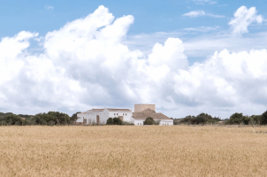 Menorca - Torre Vella