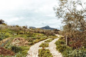 Finca La Donaira - Spanien