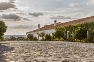 São Lourenço do Barrocal - Building