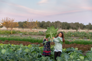 São Lourenço do Barrocal - Organic Garden