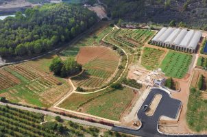 spain-zem-wellness-clinic-altea-bawa-tours-travel-Finca-Althaya_11