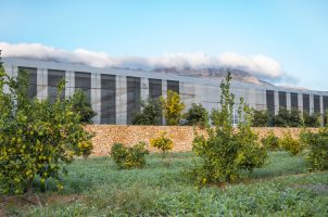 spain-zem-wellness-clinic-altea-bawa-tours-travel-Finca-Althaya_4