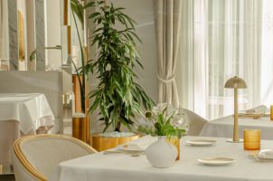 spain-zem-wellness-clinic-altea-bawa-tours-travel-salvia-restaurant-1-nov24