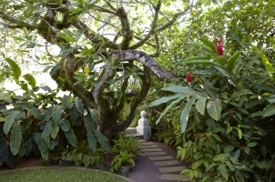 Amangalla -  Galla Garden