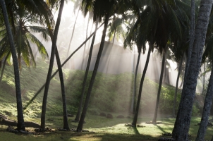 Amanwella - Resort