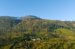 sri-lanka-camellia-hills-bawa-tours-travel-aerial