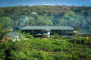 Ceylon Tea Trails - Tea Factory