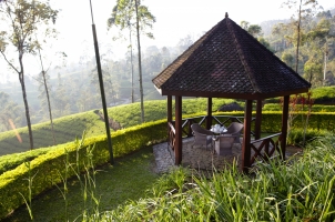Ceylon Tea Trails - Summerhouse Norwood