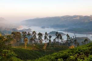 Ceylon Tea Trails - Lake