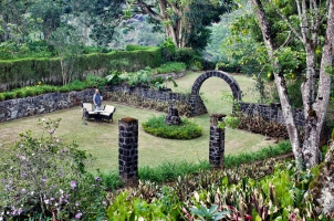Ceylon Tea Trails - Garden