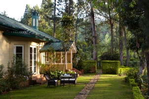 Ceylon Tea Trails - Garden