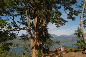 Ceylon Tea Trails - Garden and Lake