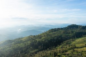 Sri-Lanka-Thotalagala-bawa-tours-travel-View