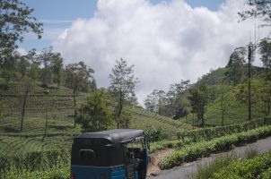 Sri-Lanka-Thotalagala-bawa-tours-travel-route-view