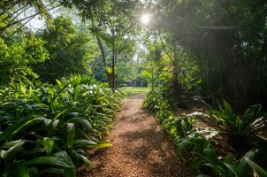 sri-lanka-wallawwa-bawa-tours-travel-entrance