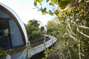 Wild Coast Tented Lodge - Cocoon