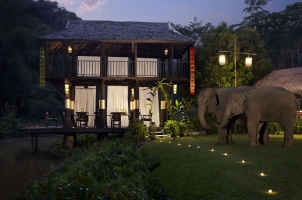 Anantara Golden Triangle - gala dinner with an elephant