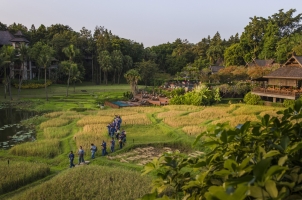 Four Seasons Chiang Mai
