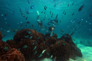 Thailand Soneva Kiri - Snorkelling