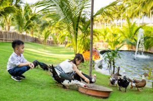 Vietnam - Fusion Resort Cam Ranh