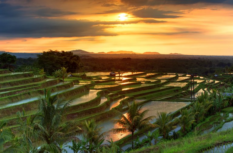 Hongkong, Bali & Singapur – Metropolen & Inseln