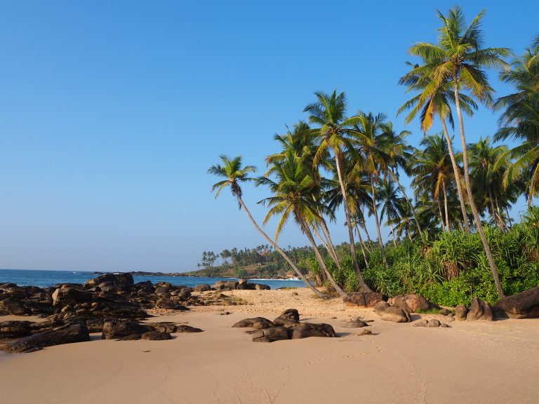 Sri Lanka – meine Reise in den Süden